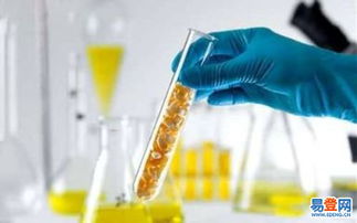 黃島進(jìn)出口代理 助力企業(yè)拓展國際市場(chǎng)的關(guān)鍵伙伴